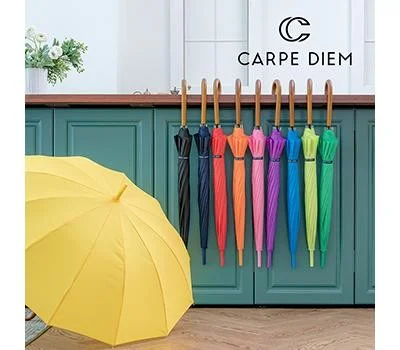 카르페디엠 스마트 55X12K 우드곡자 장우산