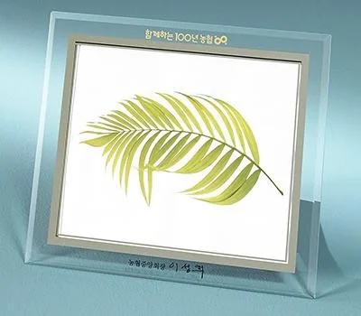 더미소아이 크리스탈 라인 유리액자 6R